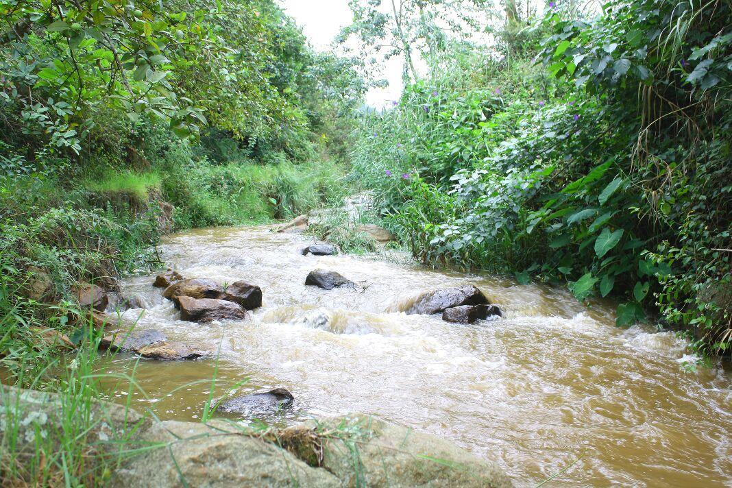 Rustling River Resort Ooty Ngoại thất bức ảnh