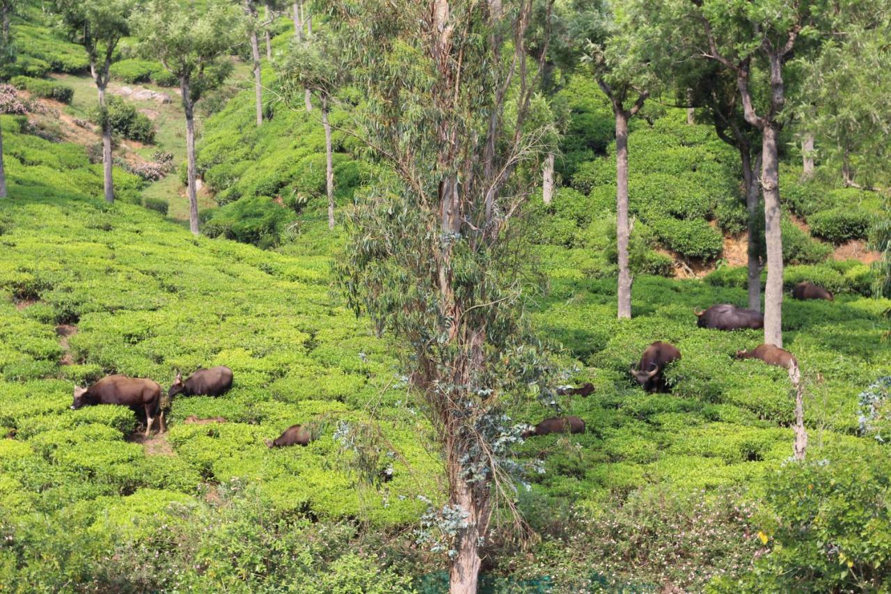 Rustling River Resort Ooty Ngoại thất bức ảnh